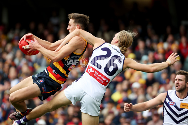 AFL Rd 4 - Adelaide v Fremantle - A-1116256