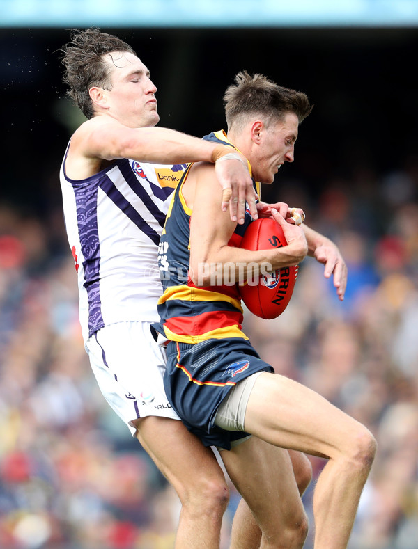 AFL Rd 4 - Adelaide v Fremantle - A-1116276