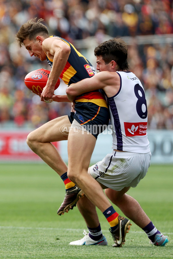 AFL Rd 4 - Adelaide v Fremantle - A-1117173