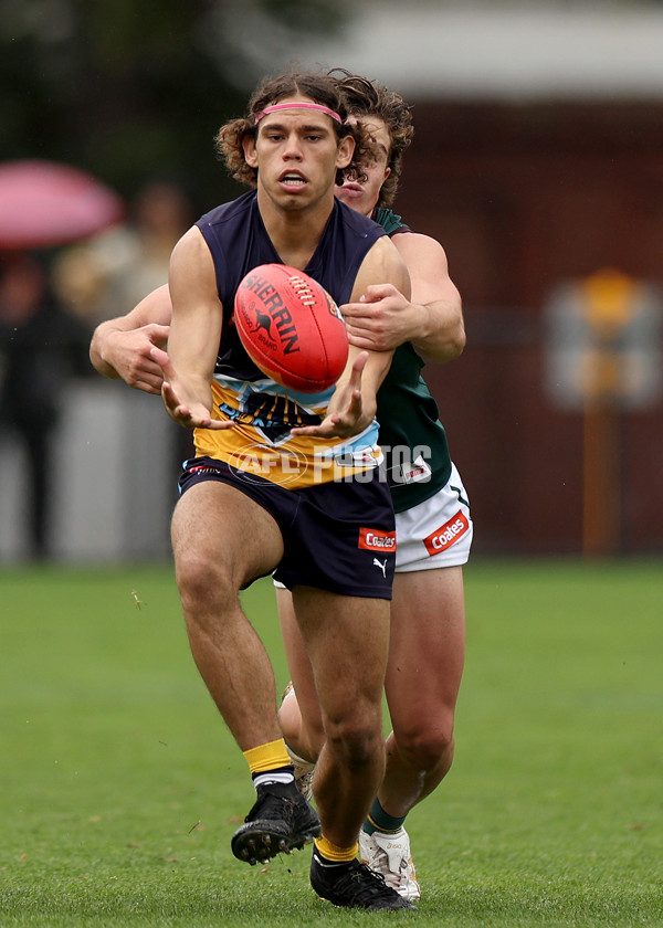 Coates Talent League Boys Rd 3 - Bendigo Pioneers v Tasmania Devils - A-1117215