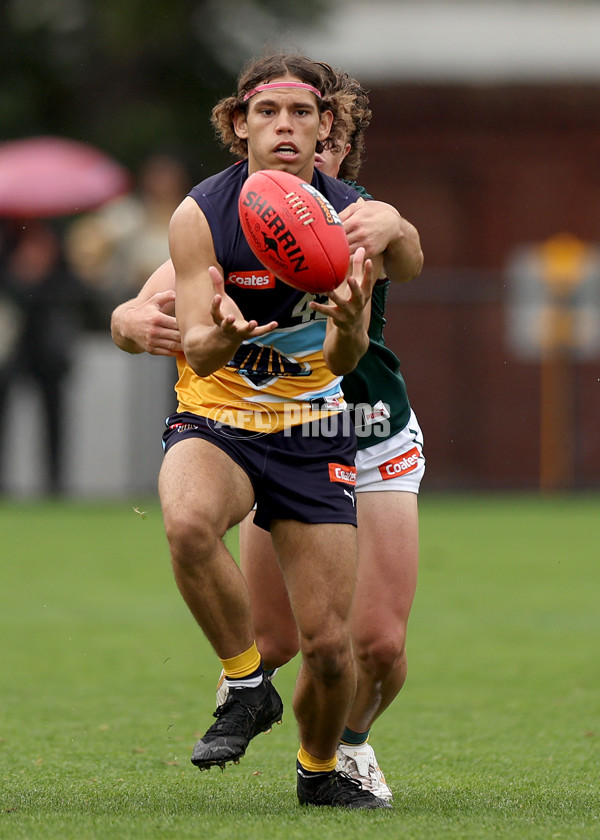 Coates Talent League Boys Rd 3 - Bendigo Pioneers v Tasmania Devils - A-1117216