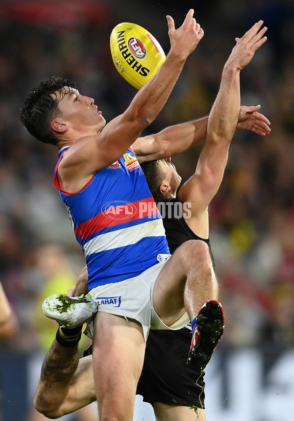 AFL Rd 4 - Richmond v Western Bulldogs - A-1122911