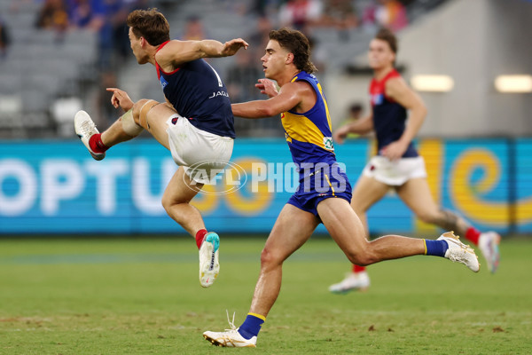 AFL Rd 4 - West Coast v Melbourne - A-1131293