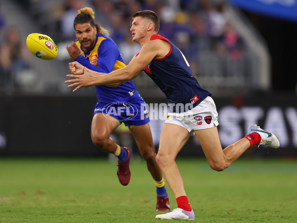 AFL Rd 4 - West Coast v Melbourne - A-1135955