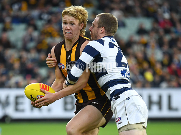 AFL Rd 4 - Geelong v Hawthorn - A-1136008