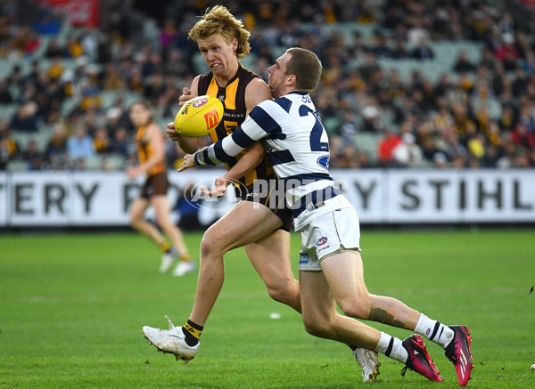 AFL Rd 4 - Geelong v Hawthorn - A-1136009