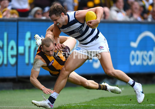 AFL Rd 4 - Geelong v Hawthorn - A-1136012