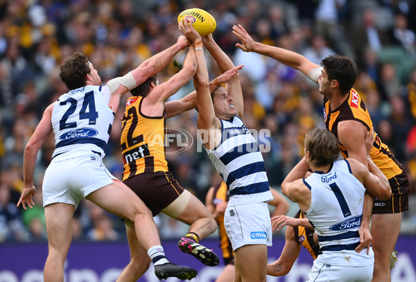 AFL Rd 4 - Geelong v Hawthorn - A-1136014