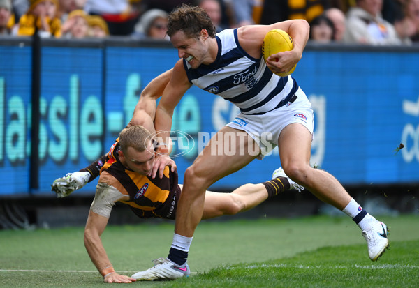 AFL Rd 4 - Geelong v Hawthorn - A-1136015