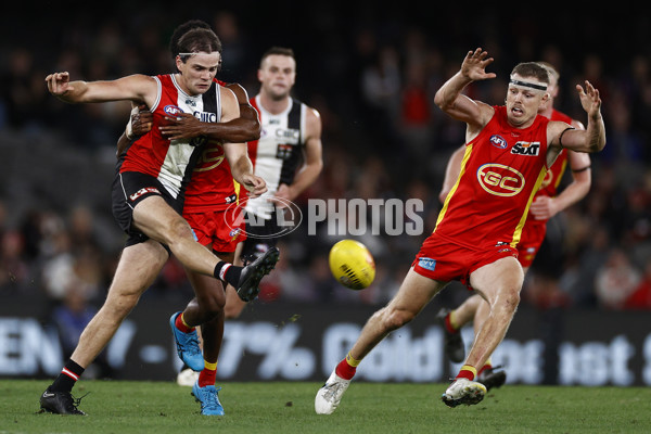 AFL Rd 4 - St Kilda v Gold Coast - A-1136279