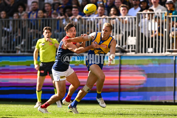 AFL Rd 4 - West Coast v Melbourne - A-1136898