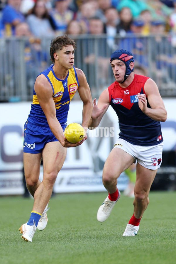 AFL Rd 4 - West Coast v Melbourne - A-1136924