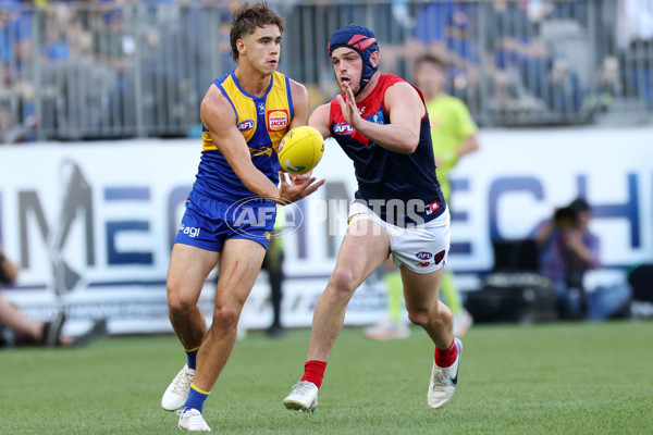 AFL Rd 4 - West Coast v Melbourne - A-1136925