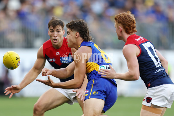 AFL Rd 4 - West Coast v Melbourne - A-1137205