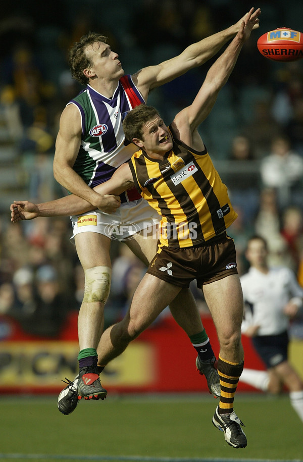 AFL 2004 Rd 8 - Hawthorn v Fremantle - 172136