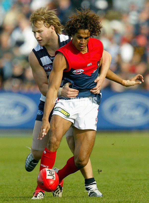 AFL 2004 Rd 8 - Geelong v Melbourne - 172138