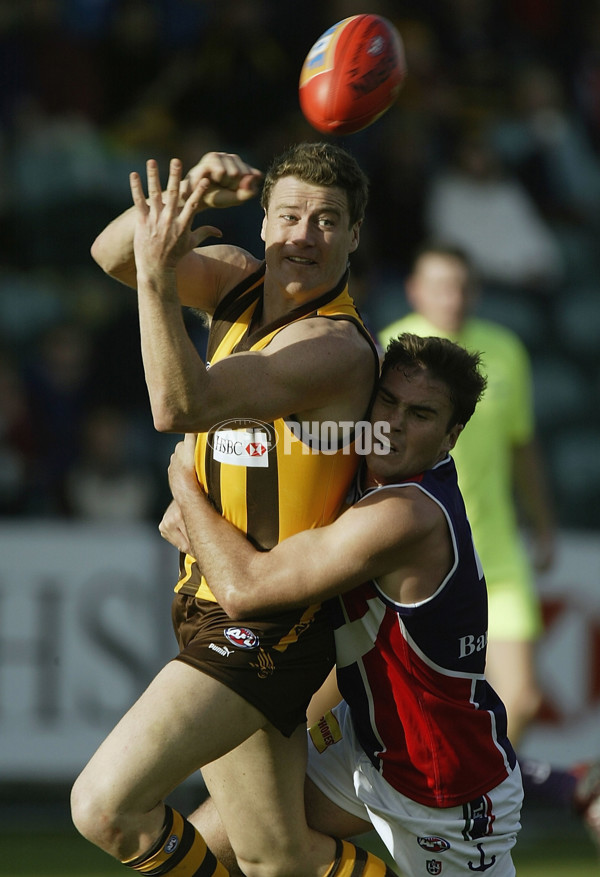 AFL 2004 Rd 8 - Hawthorn v Fremantle - 172170