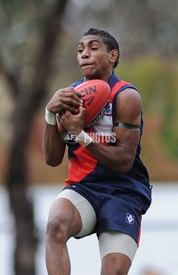 VFL 2012 Rd 01 - Coburg Tigers v Northen Blues - 250817