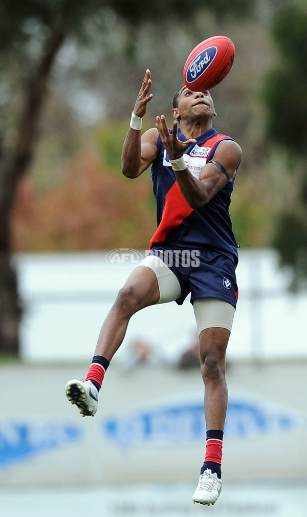 VFL 2012 Rd 01 - Coburg Tigers v Northen Blues - 250816