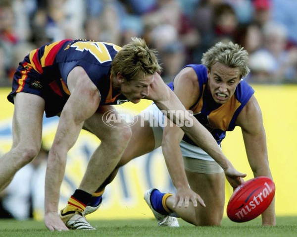 AFL 2006 Rd 2 - Adelaide Crows v West Coast Eagles - 31341