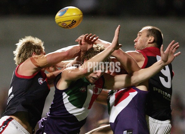 AFL 2006 2nd Semi-Final - Fremantle v Melbourne - 40281