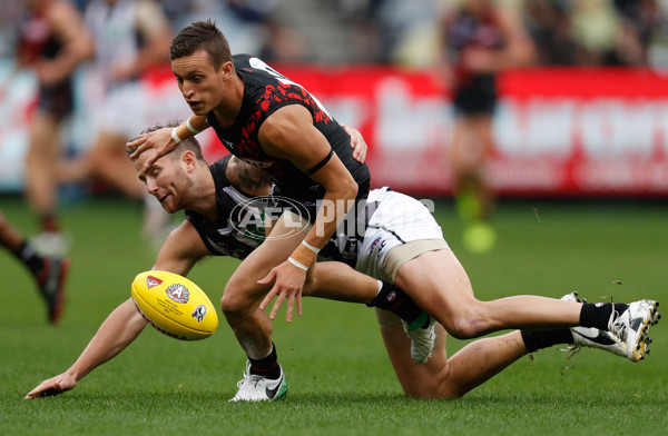 AFL 2017 Round 05 - Essendon v Collingwood - 505325