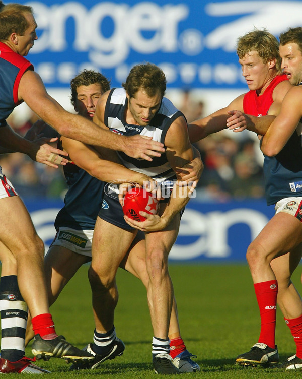 AFL 2004 Rd 8 - Geelong v Melbourne - 66171