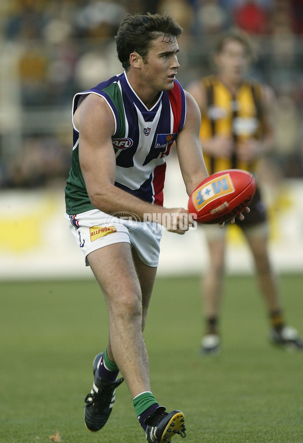 AFL 2004 Rd 8 - Hawthorn v Fremantle - 65717