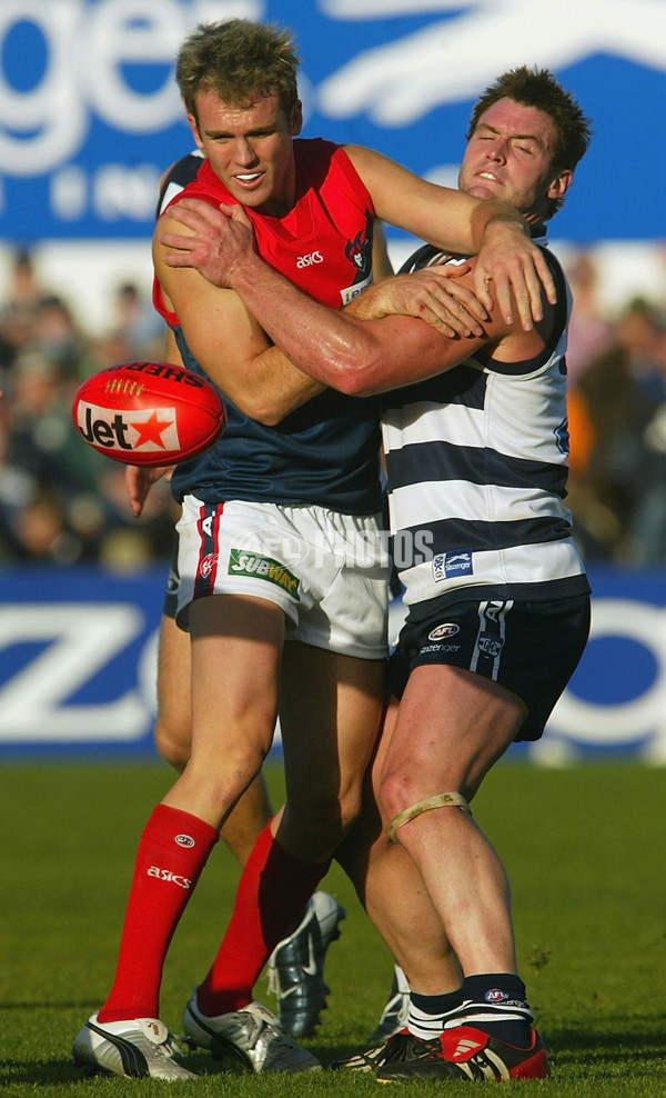 AFL 2004 Rd 8 - Geelong v Melbourne - A-1171087