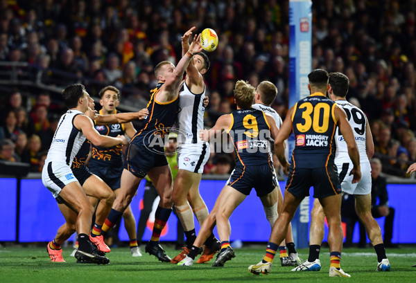 AFL Rd 5 - Adelaide v Carlton - A-1174313