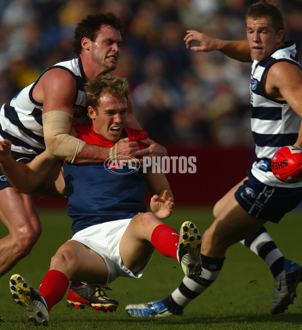 AFL 2004 Rd 8 - Geelong v Melbourne - A-1175137