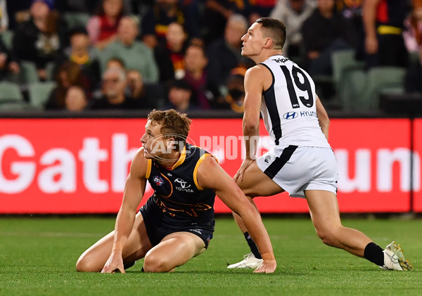 AFL Rd 5 - Adelaide v Carlton - A-1175192