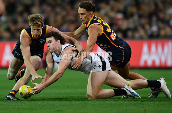 AFL Rd 5 - Adelaide v Carlton - A-1180476