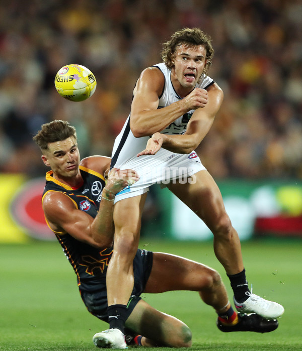 AFL Rd 5 - Adelaide v Carlton - A-1180859