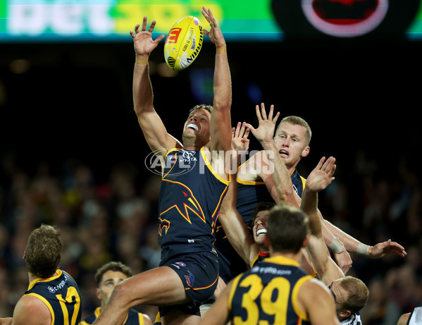 AFL Rd 5 - Adelaide v Carlton - A-1180876