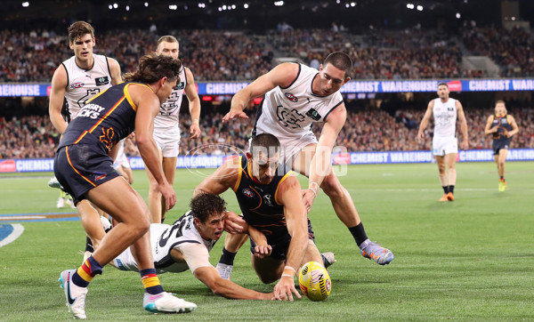 AFL Rd 5 - Adelaide v Carlton - A-1183799