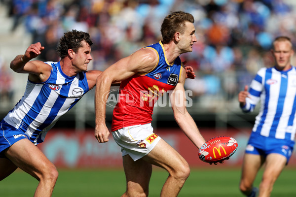 AFL Rd 5 - North Melbourne v Brisbane - A-1202958