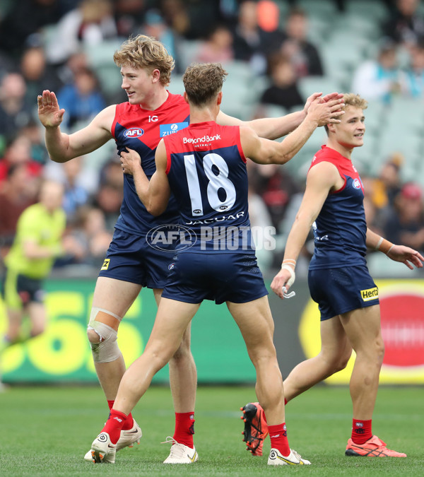 AFL Rd 5 - Essendon v Melbourne - A-1205680