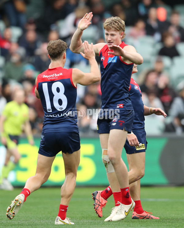 AFL Rd 5 - Essendon v Melbourne - A-1205684