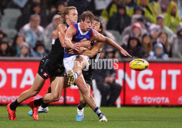 AFL Rd 5 - Port Adelaide v Western Bulldogs - A-1209106