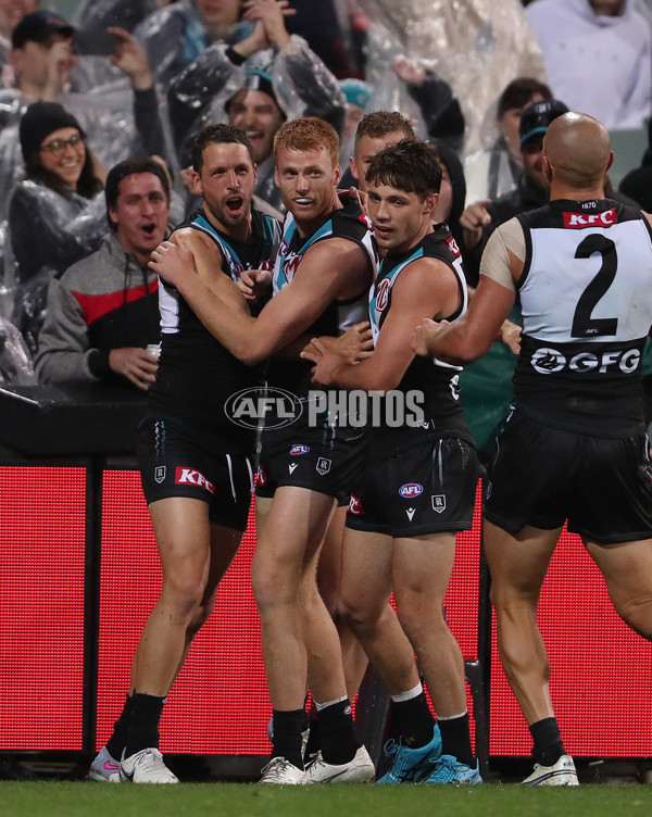 AFL Rd 5 - Port Adelaide v Western Bulldogs - A-1209112