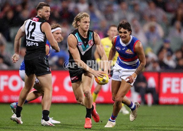 AFL Rd 5 - Port Adelaide v Western Bulldogs - A-1209680