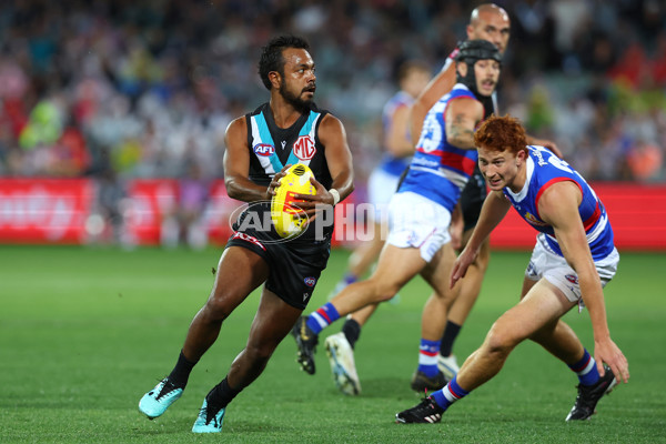 AFL Rd 5 - Port Adelaide v Western Bulldogs - A-1209681