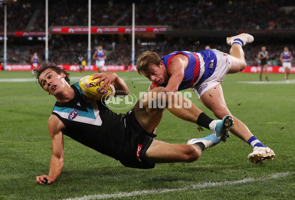 AFL Rd 5 - Port Adelaide v Western Bulldogs - A-1209707