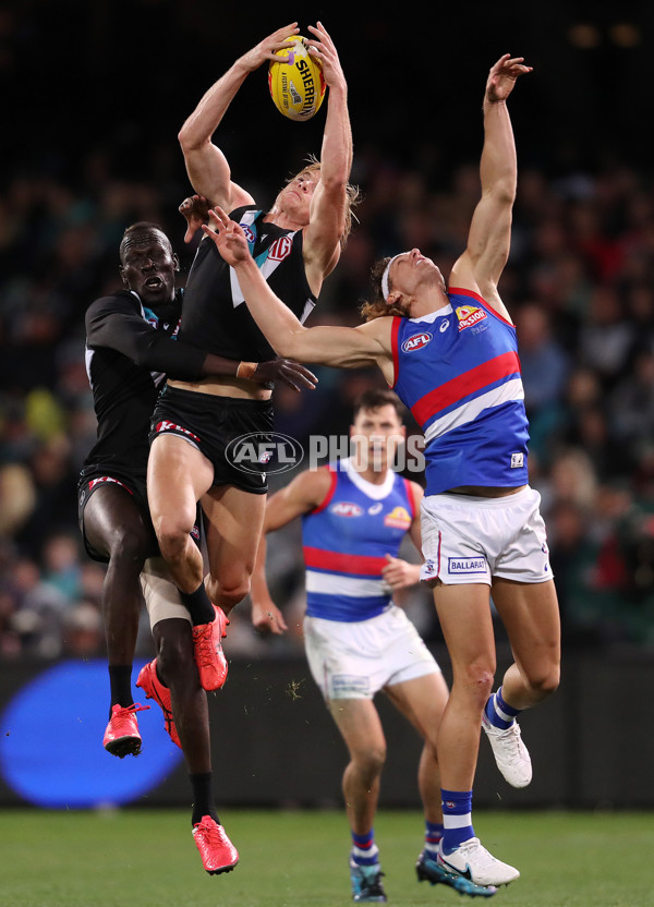 AFL Rd 5 - Port Adelaide v Western Bulldogs - A-1209715