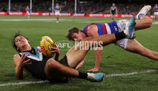 AFL Rd 5 - Port Adelaide v Western Bulldogs - A-1213341