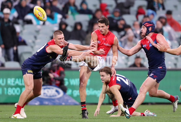 AFL Rd 5 - Essendon v Melbourne - A-1216256