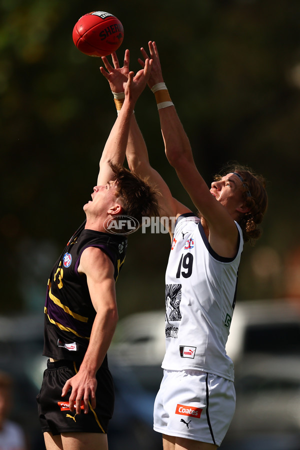 Coates Talent League Boys Rd 4 - Murray Bushrangers v Geelong Falcons - A-1219757