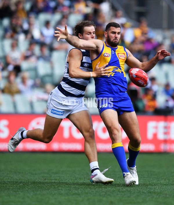 AFL Rd 5 - Geelong v West Coast - A-1219758