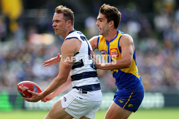 AFL Rd 5 - Geelong v West Coast - A-1219763